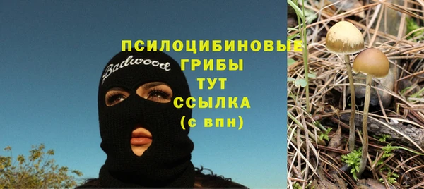 соль ск Верея