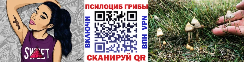 Псилоцибиновые грибы MAGIC MUSHROOMS  хочу наркоту  Чита 